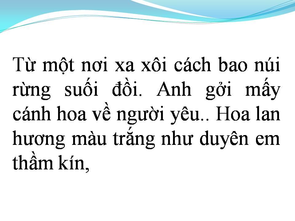 Lời bài hát CÁNH HOA DUYÊN KIẾP