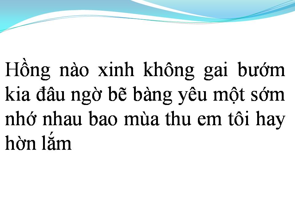 Lời bài hát CÁNH HOA DUYÊN KIẾP