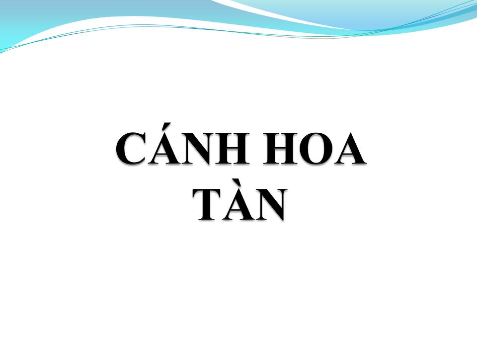 Lời bài hát CÁNH HOA TÀN