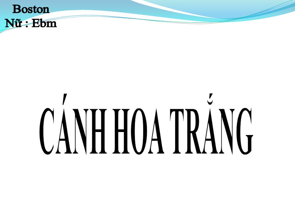 Lời bài hát CÁNH HOA TRẮNG