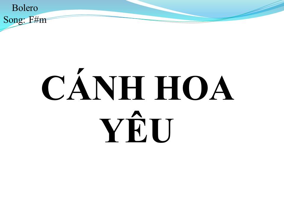Lời bài hát CÁNH HOA YÊU (SONG CA)