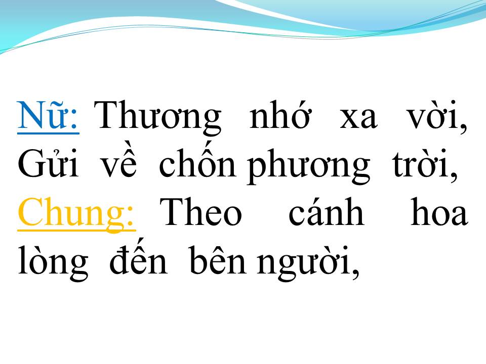Lời bài hát CÁNH HOA YÊU (SONG CA)