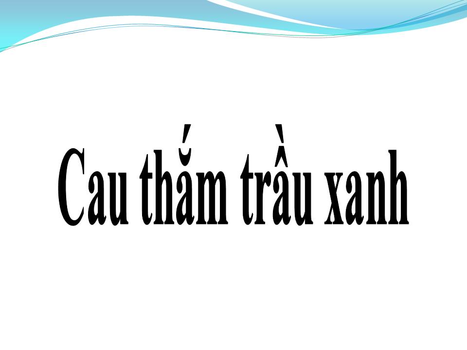 Lời bài hát CAU THẮM TRẦU XANH