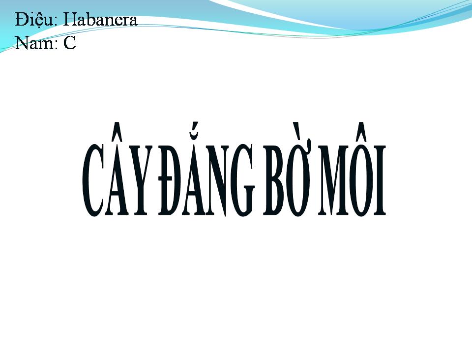 Lời bài hát CAY ĐẮNG BỜ MÔI