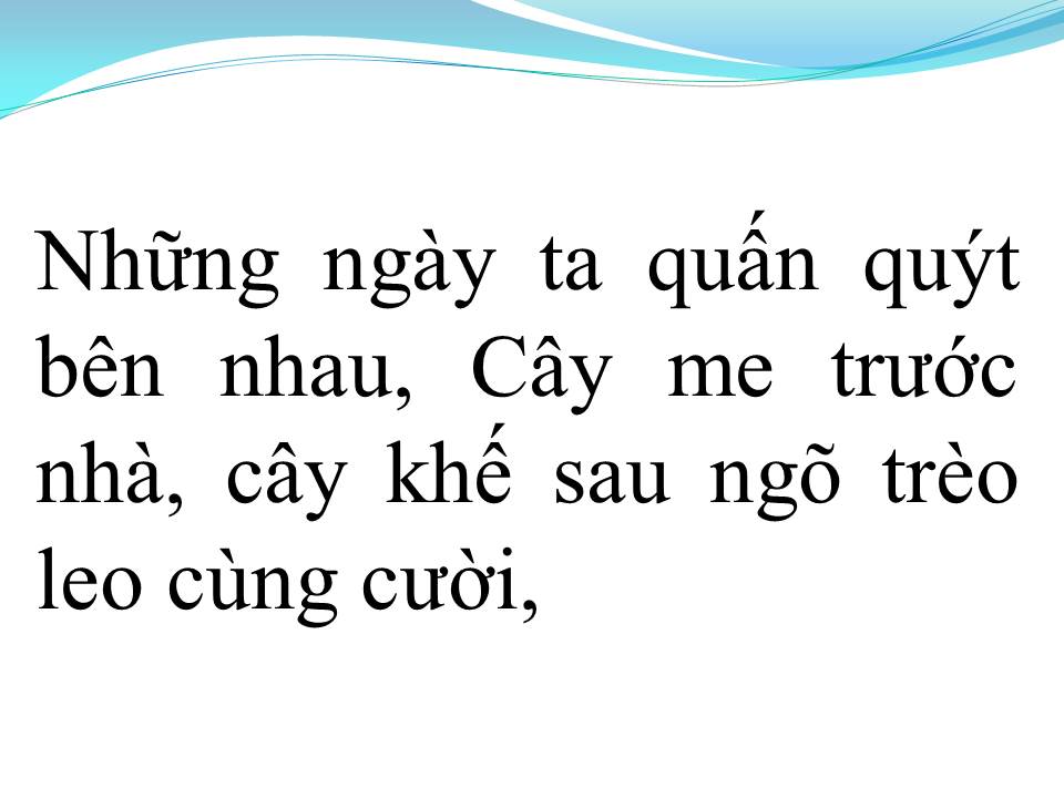 Lời bài hát CÂY CẦU DỪA 