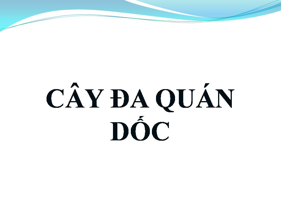 Lời bài hát CÂY ĐA QUÁN DỐC