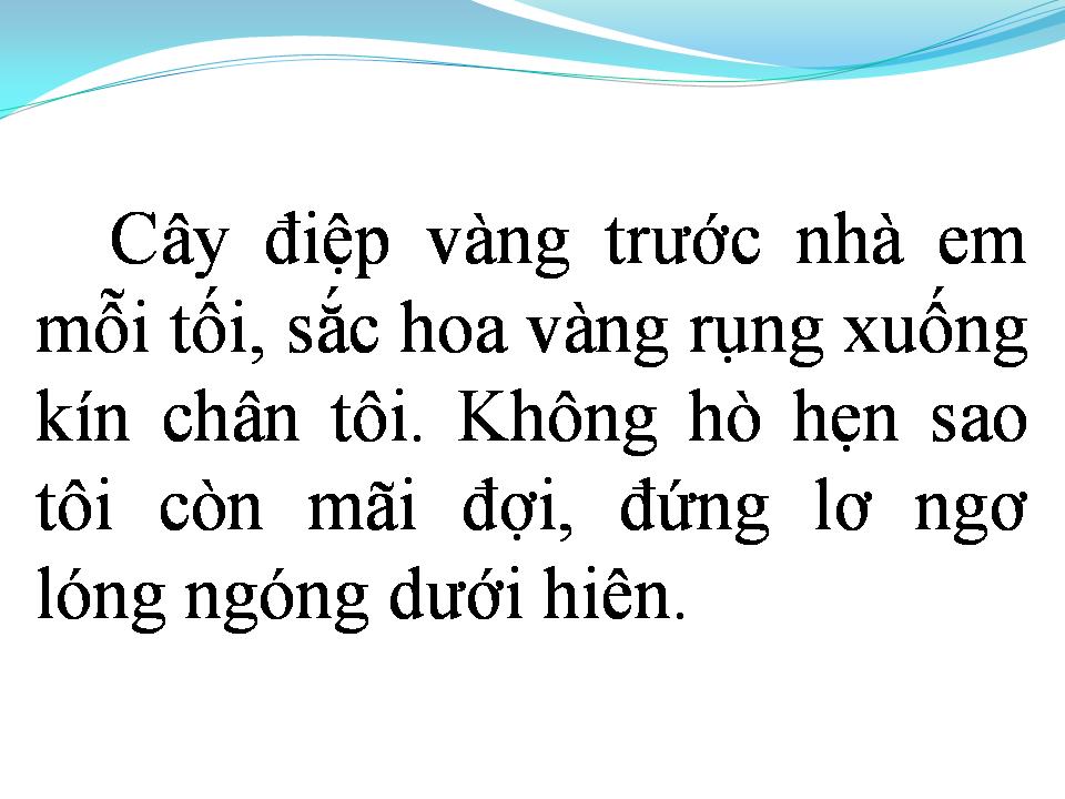 Lời bài hát CÂY ĐIỆP VÀNG