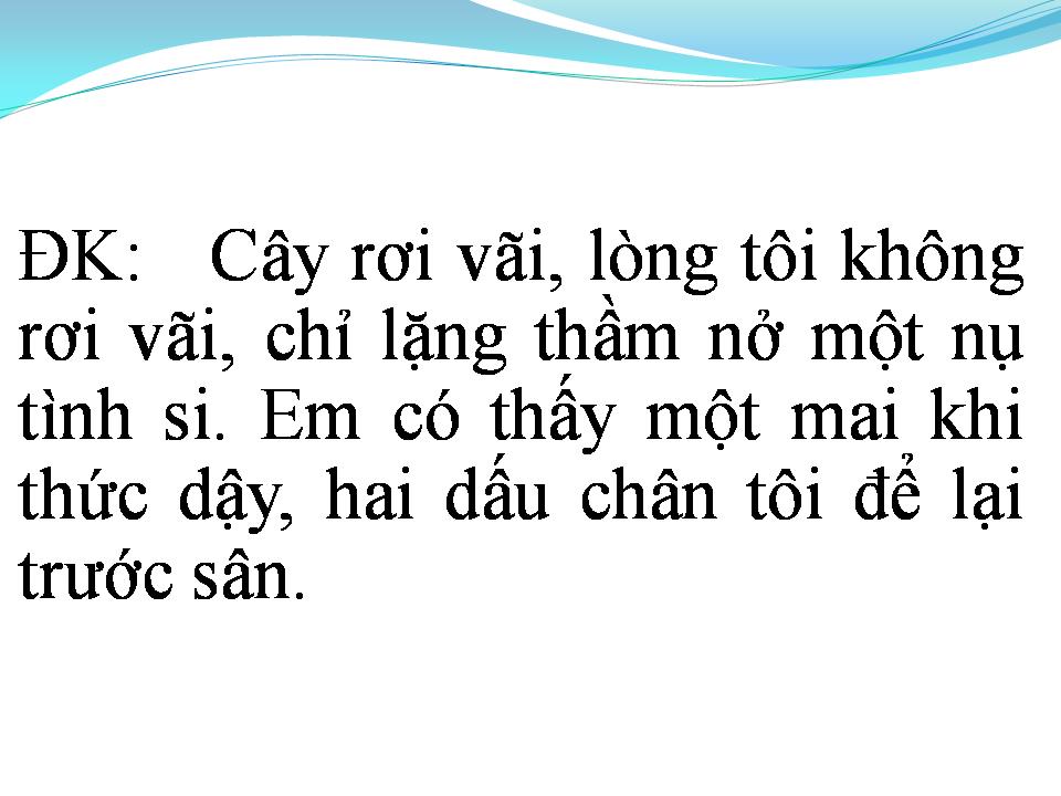 Lời bài hát CÂY ĐIỆP VÀNG