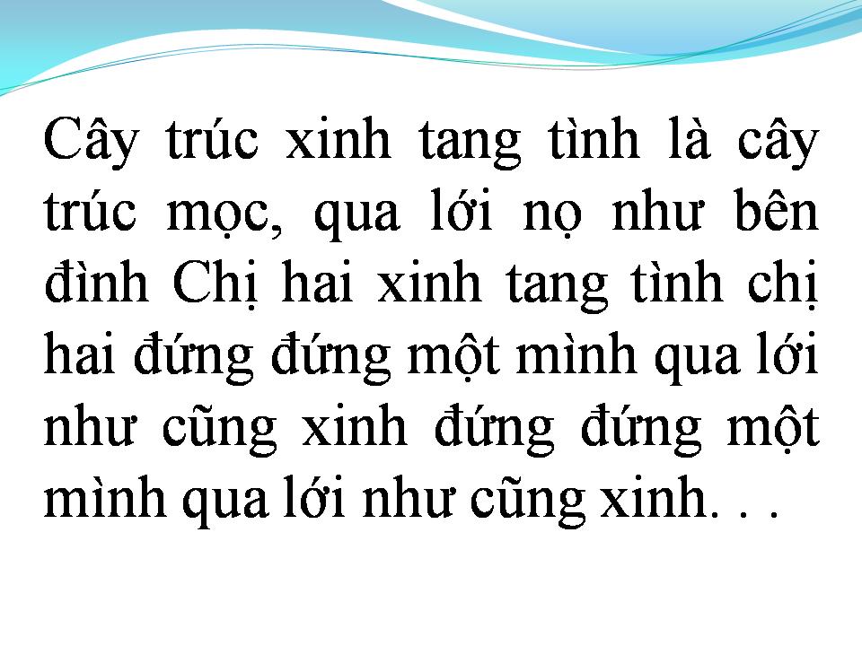 Lời bài hát CÂY TRÚC XINH