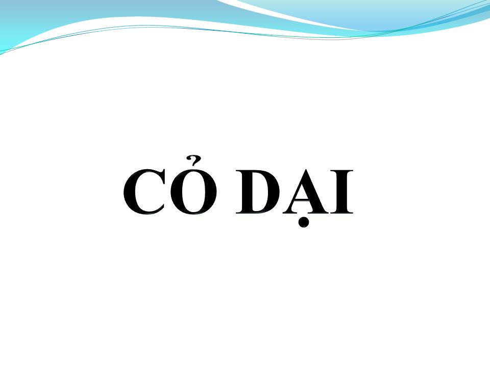 Lời bài hát CỎ DẠI VEN ĐƯỜNG