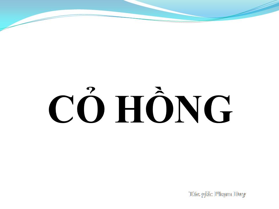 Lời bài hát CỎ HỒNG