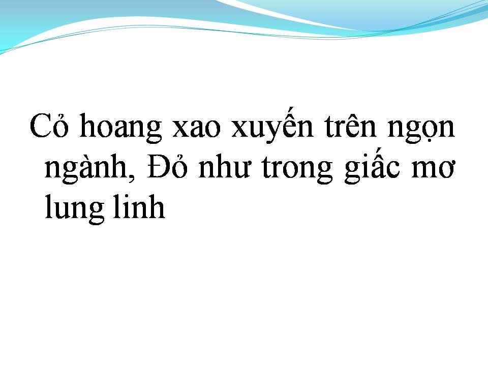 Lời bài hát CỎ HỒNG