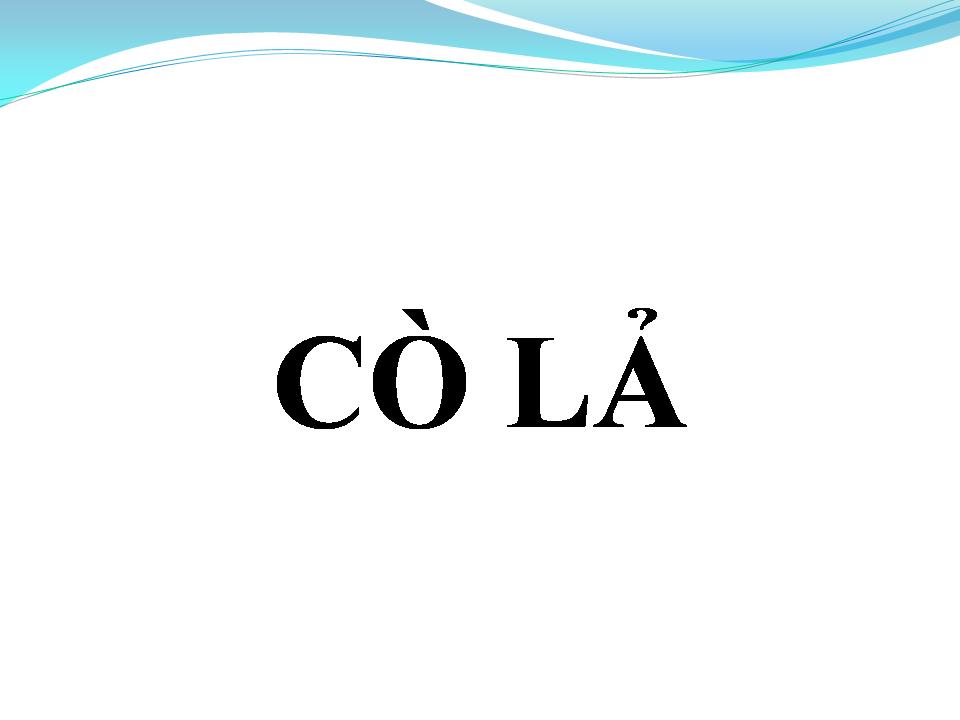 Lời bài hát CÒ LẢ