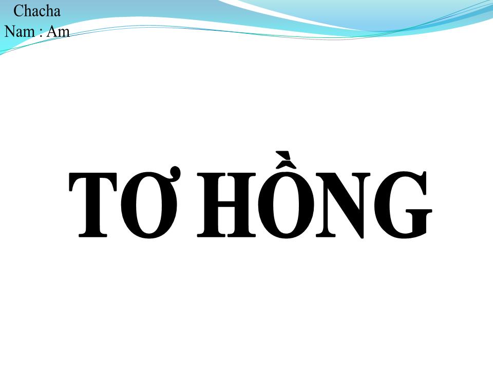 Lời bài hát TƠ HỒNG