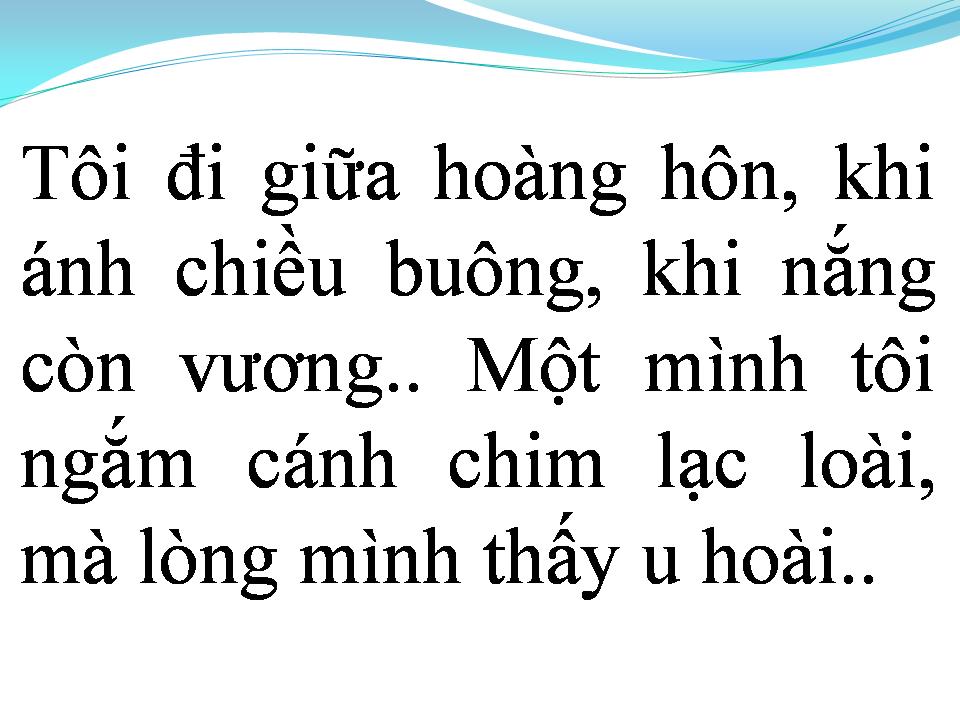 Lời bài hát TÔI ĐI GIỮA HOÀNG HÔN