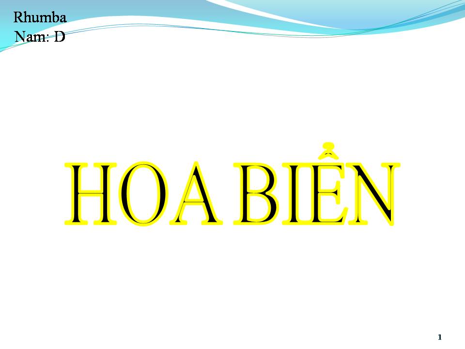 Lời bài hát HOA BIỂN