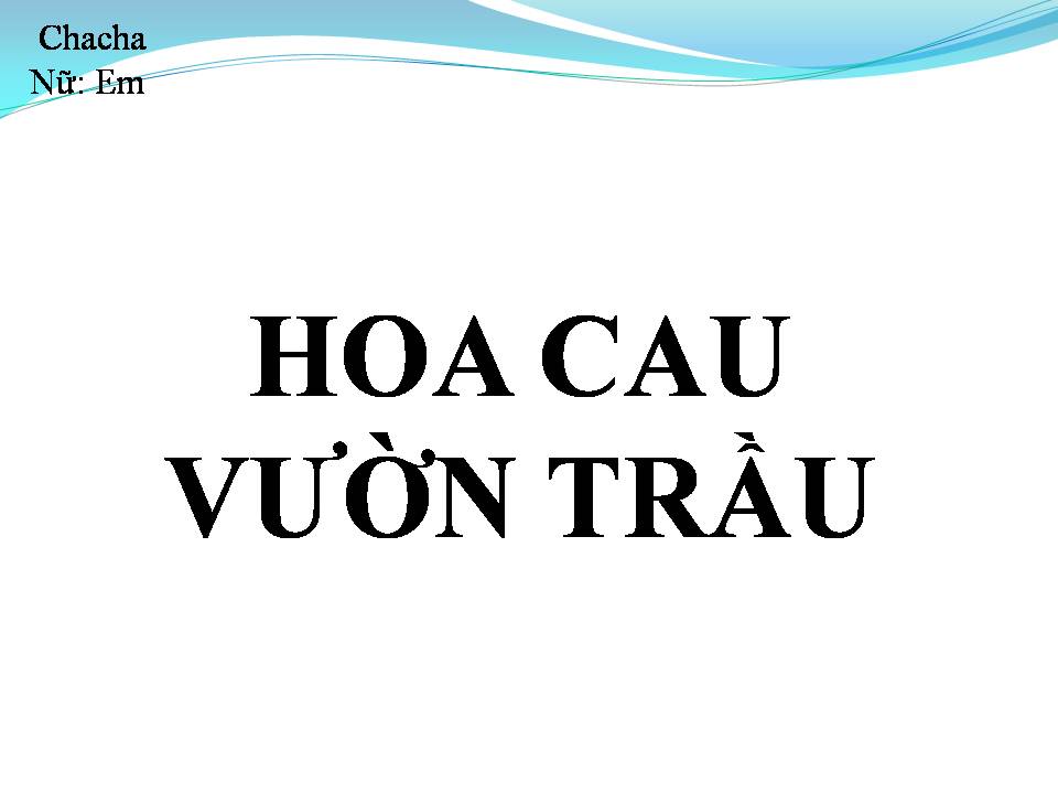 Lời bài hát HOA CAU VƯỜN TRẦU
