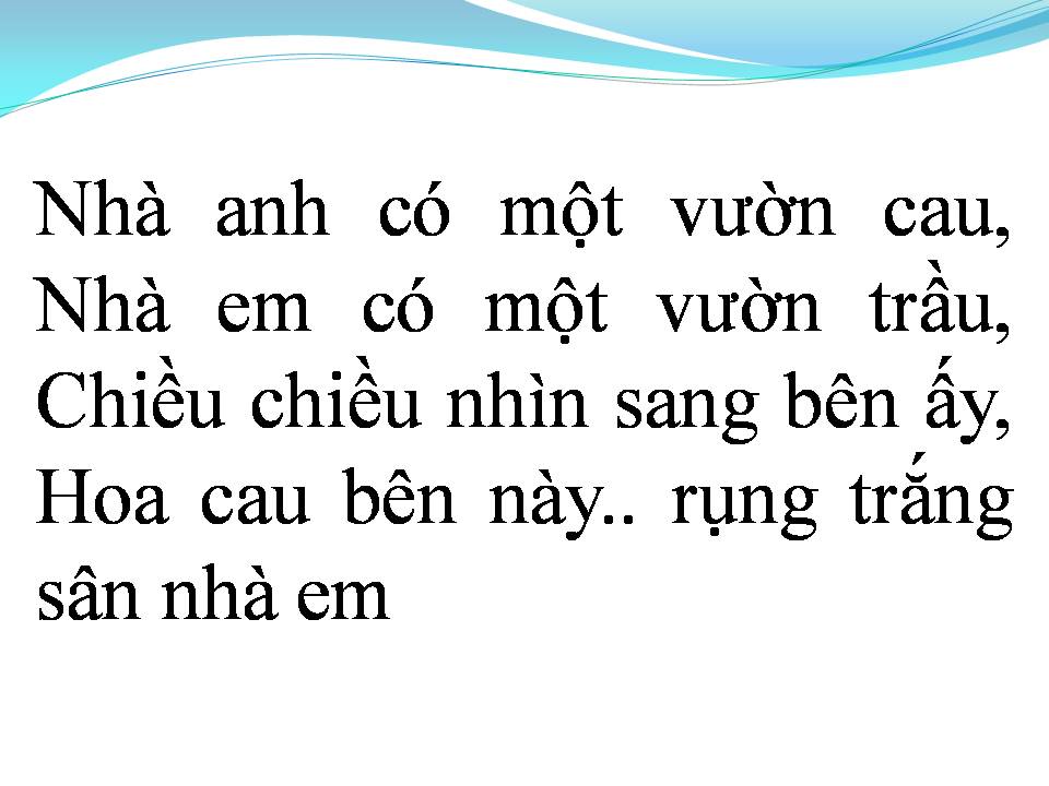Lời bài hát HOA CAU VƯỜN TRẦU
