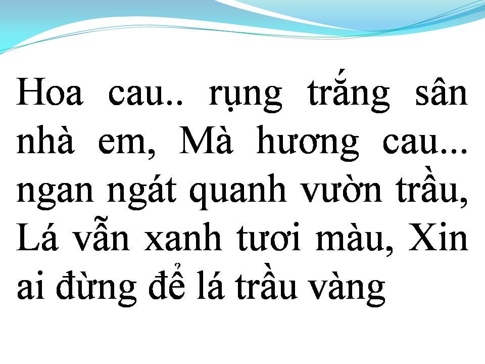 Lời bài hát HOA CAU VƯỜN TRẦU