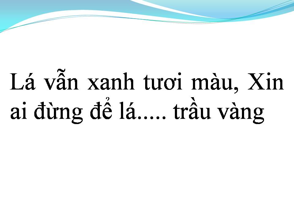 Lời bài hát HOA CAU VƯỜN TRẦU