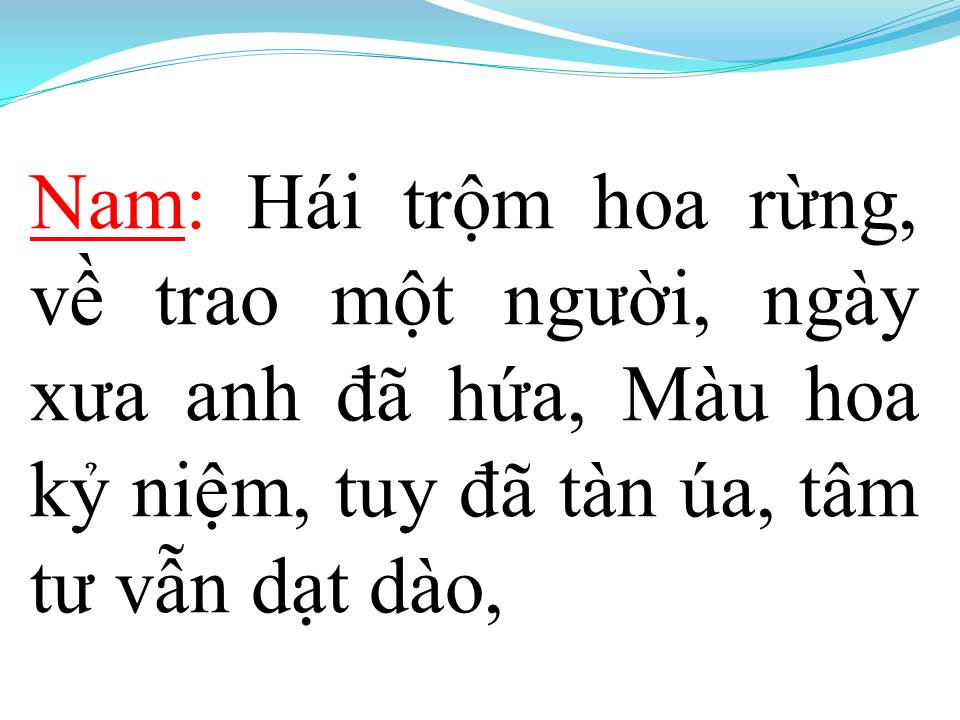 Lời bài hát HÁI HOA RỪNG CHO EM (SONG CA)