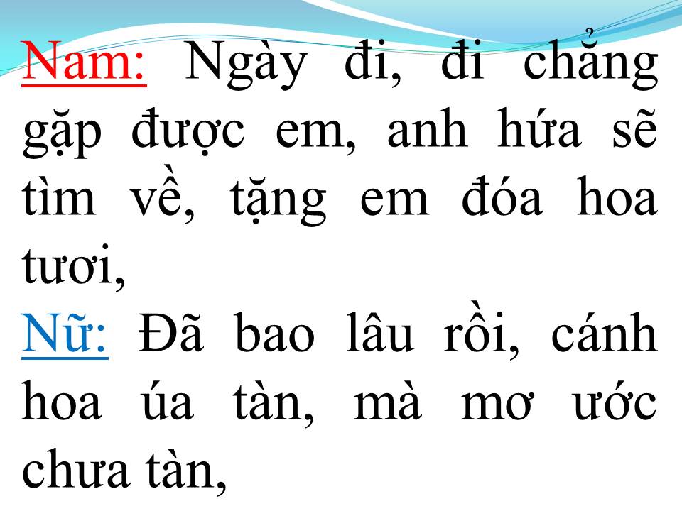 Lời bài hát HÁI HOA RỪNG CHO EM (SONG CA)