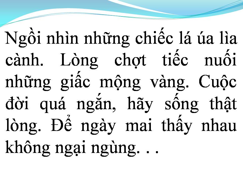 Lời bài hát HÃY SỐNG THẬT LÒNG