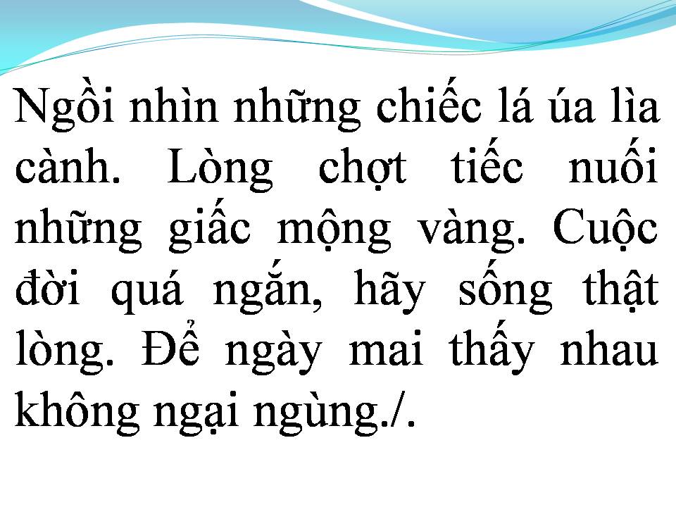 Lời bài hát HÃY SỐNG THẬT LÒNG