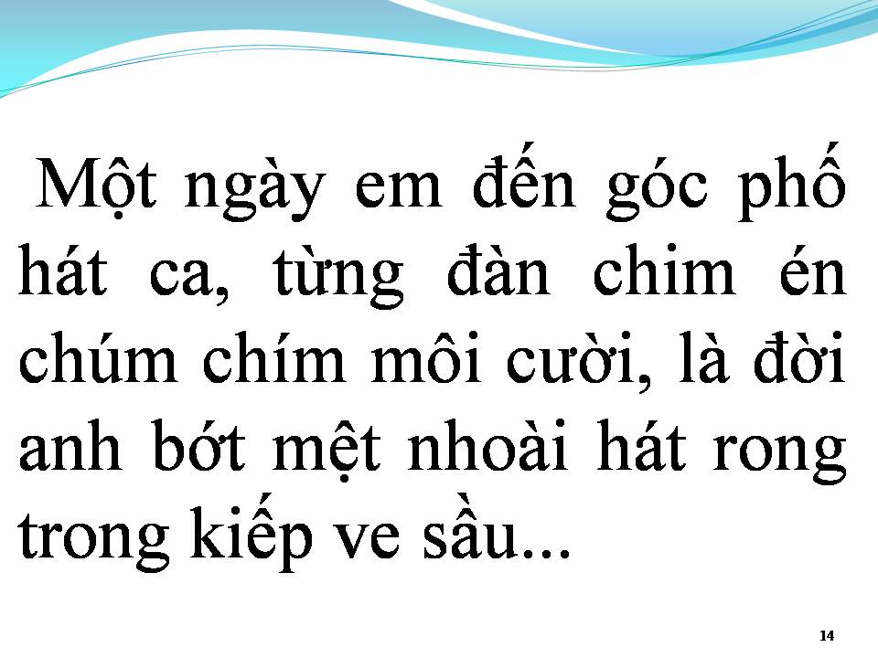 Lời bài hát KIẾP VE SẦU 