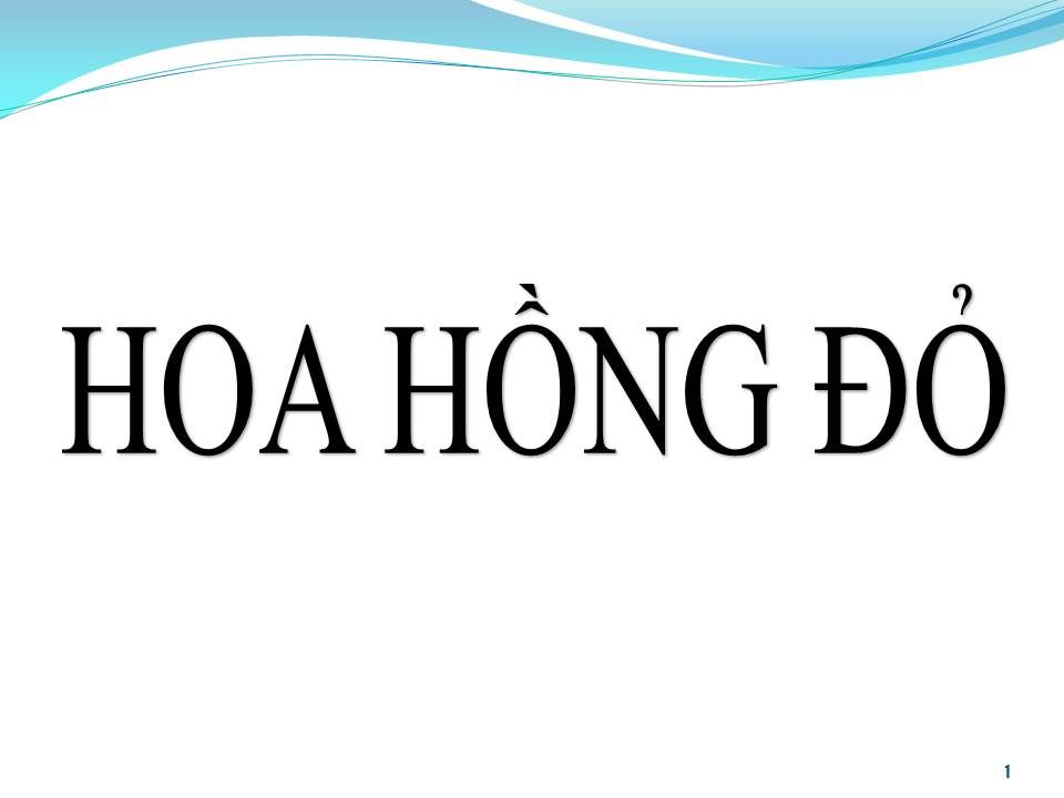 Lời bài hát HOA HỒNG ĐỎ