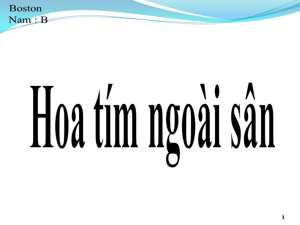 Lời bài hát HOA TÍM NGOÀI SÂN