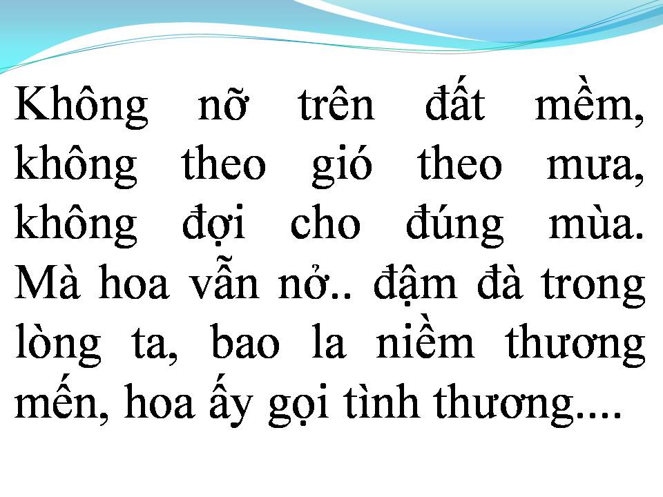 Lời bài hát HOA TÌNH THƯƠNG
