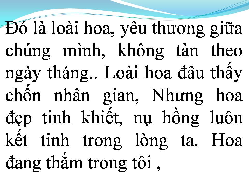 Lời bài hát HOA TÌNH THƯƠNG