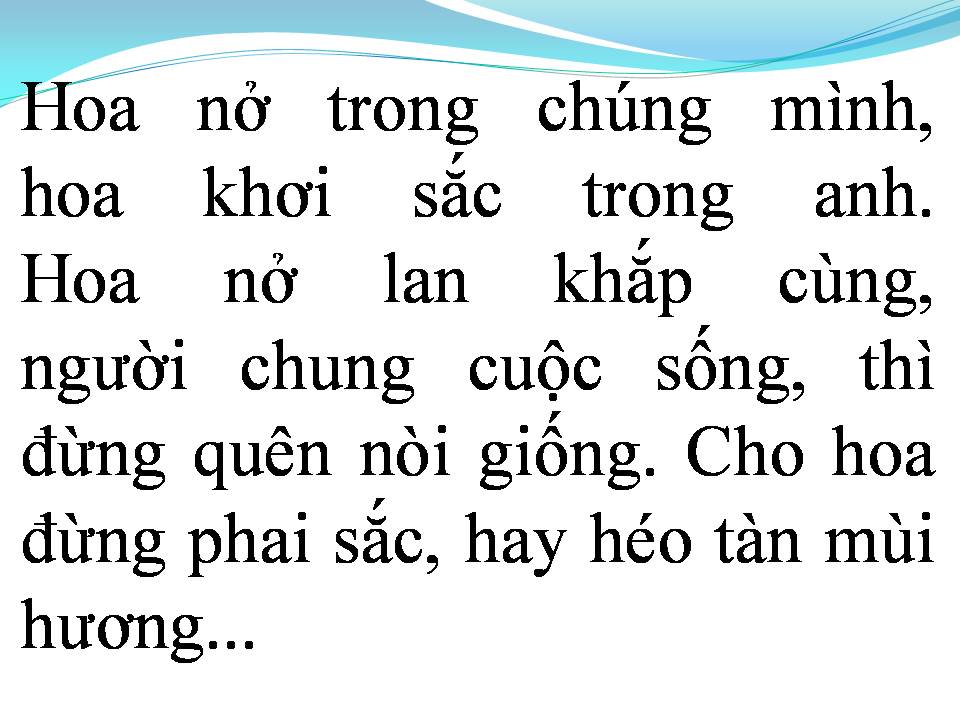 Lời bài hát HOA TÌNH THƯƠNG