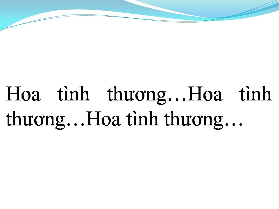Lời bài hát HOA TÌNH THƯƠNG