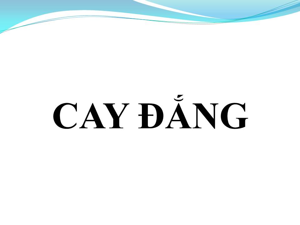 Lời bài hát CAY ĐẮNG