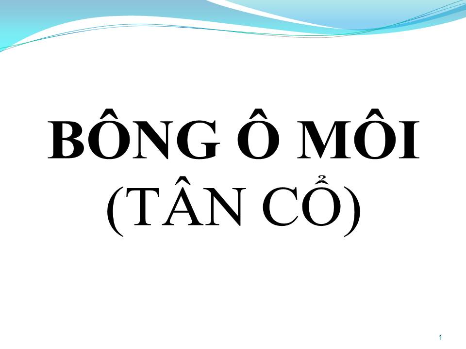Lời bài hát BÔNG Ô MÔI (TÂN CỔ)