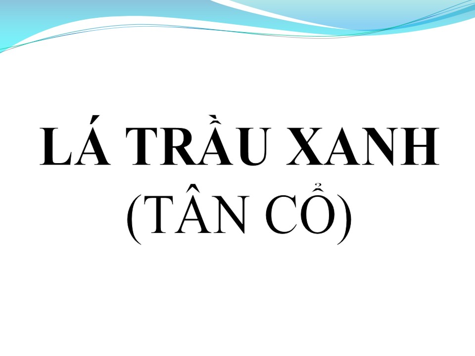 Lời bài hát LÁ TRẦU XANH (TÂN CỔ)