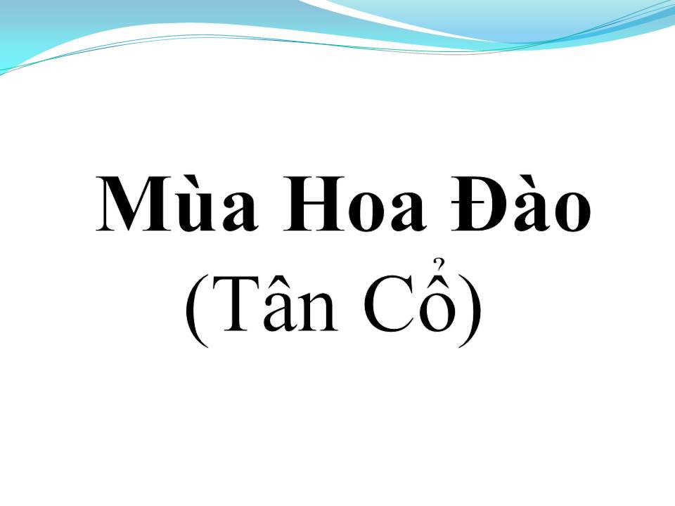 Lời bài hát MÙA HOA ĐÀO (TÂN CỔ)