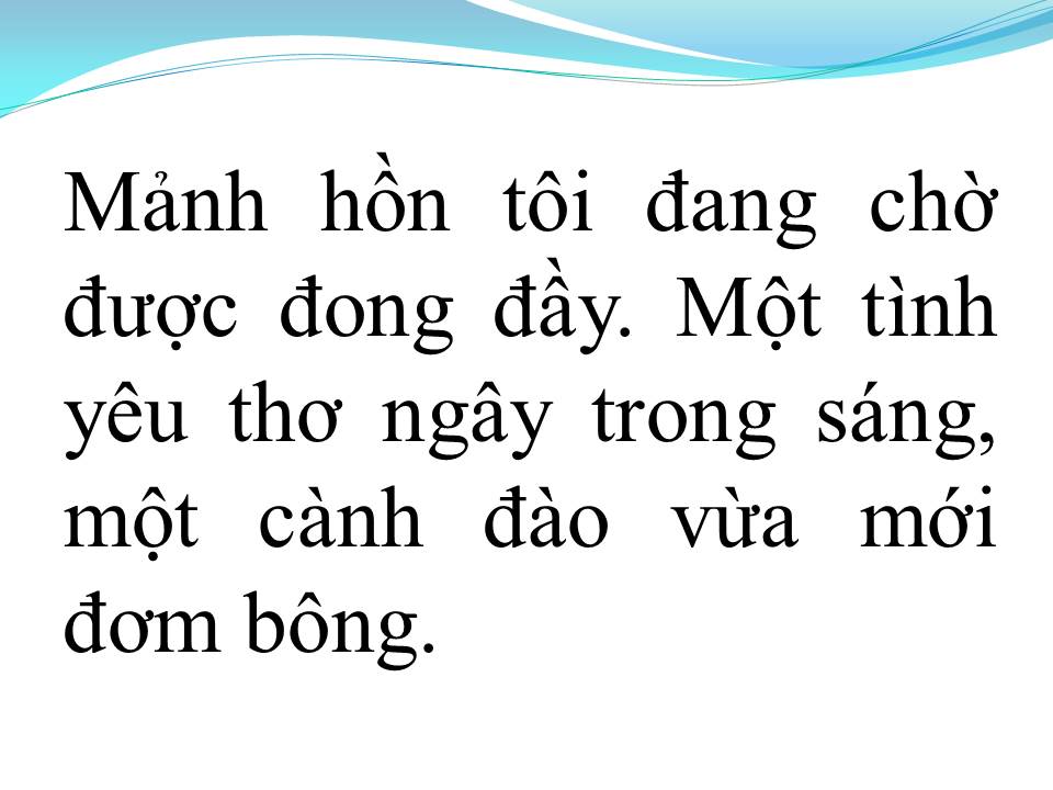 Lời bài hát MÙA HOA ĐÀO (TÂN CỔ)