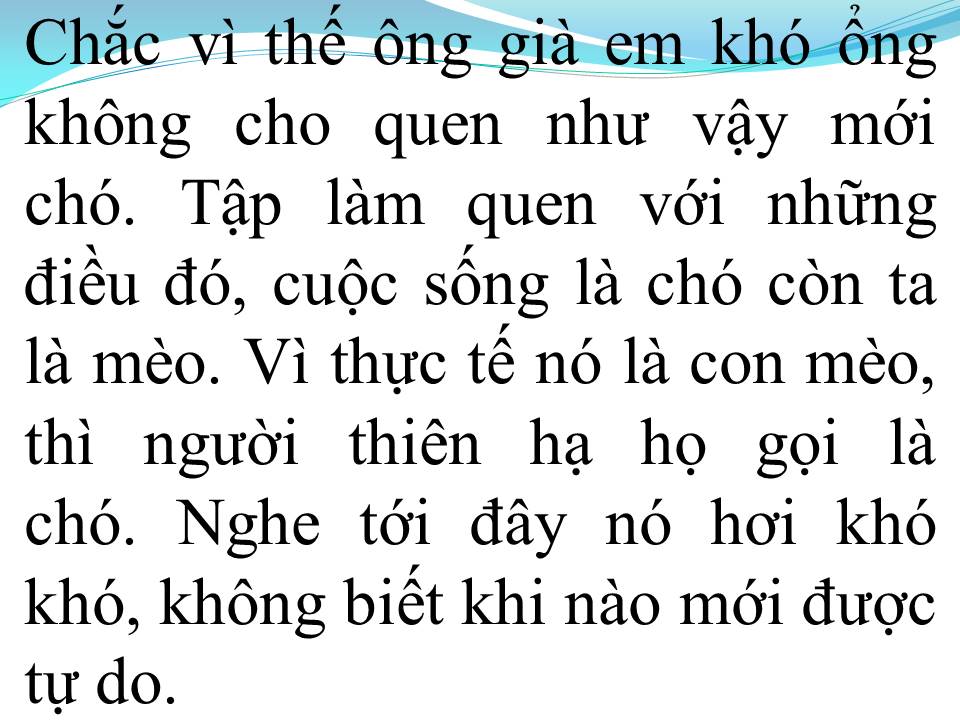 Lời bài hát CHO HỌ GHÉT ĐI EM