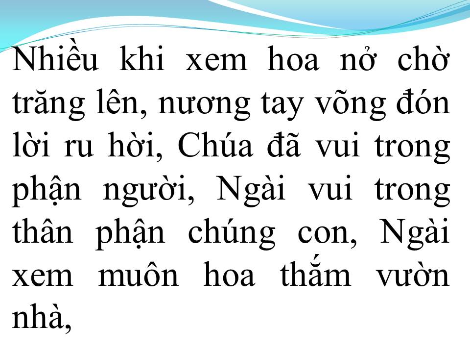 Lời bài hát KHI HOA NỞ MIỀN CANA