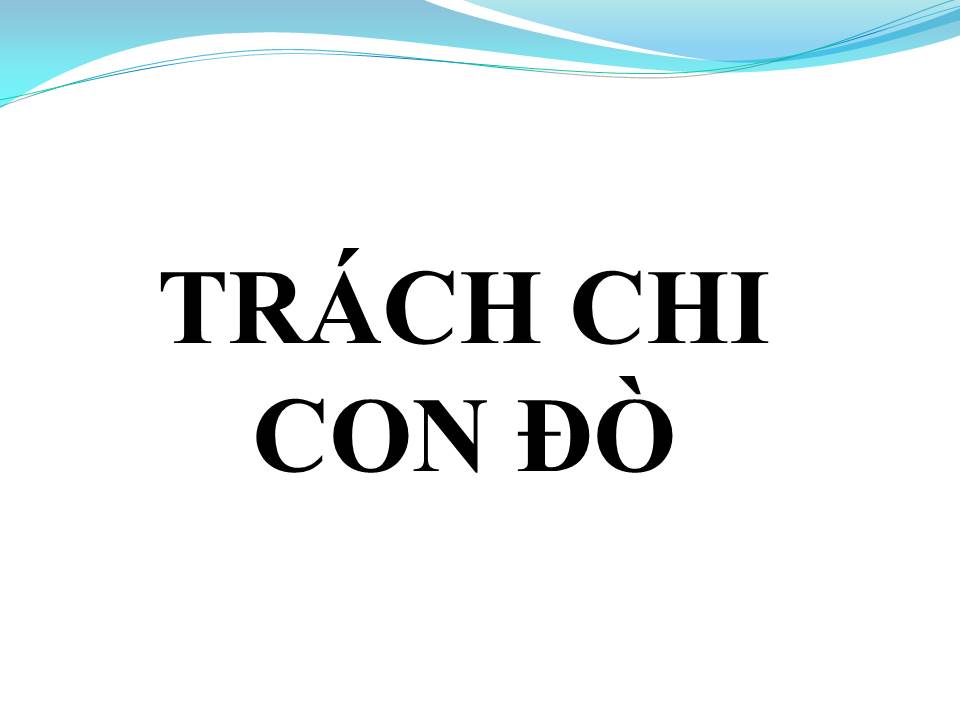 Lời bài hát TRÁCH CHI CON ĐÒ