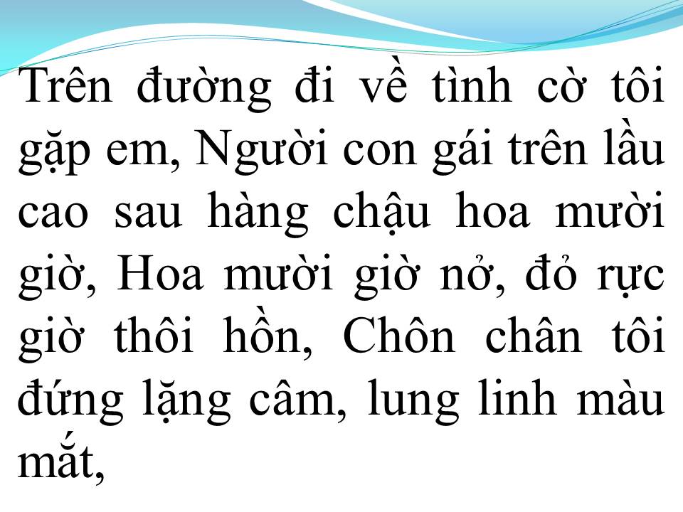 Lời bài hát TÝ NGỌ CỦA TÔI (HOA MƯỜI GIỜ LỖI HẸN)