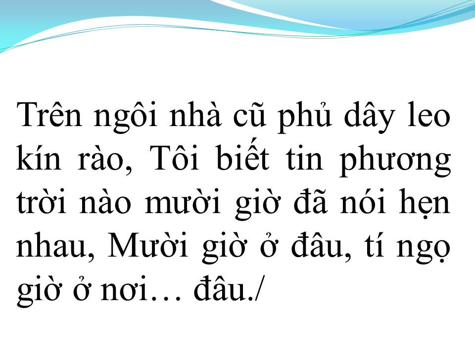 Lời bài hát TÝ NGỌ CỦA TÔI (HOA MƯỜI GIỜ LỖI HẸN)