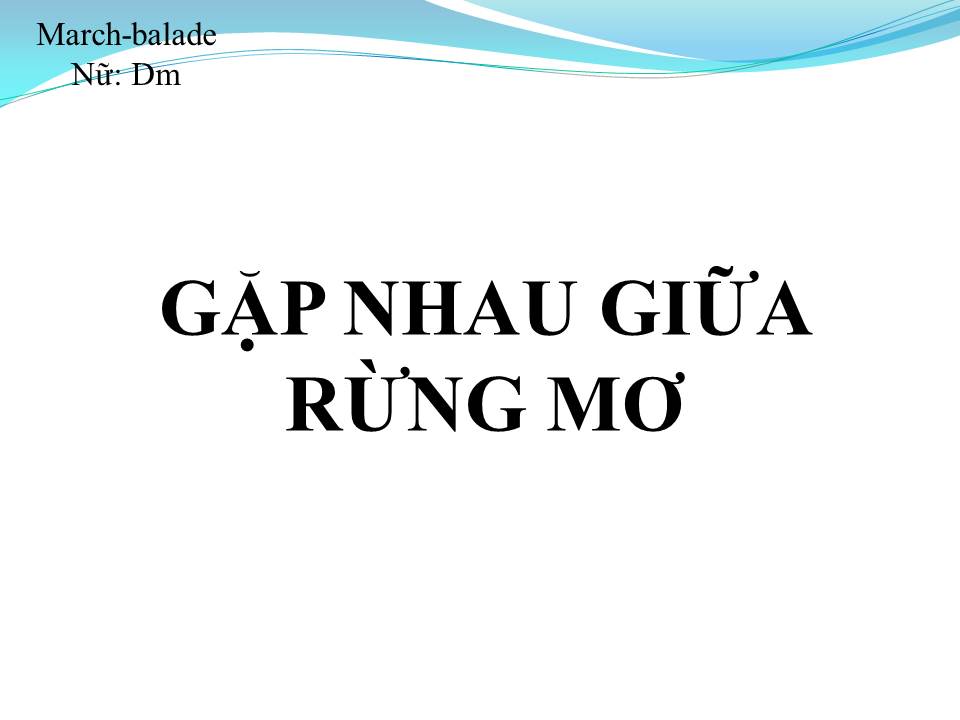 Lời bài hát GẶP NHAU GIỮA RỪNG MƠ