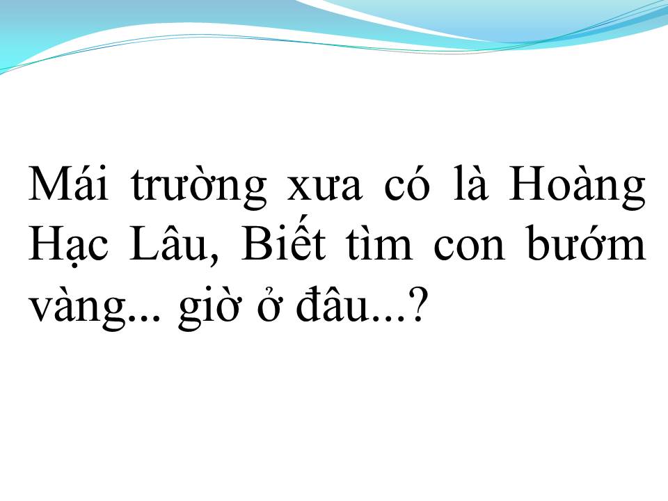 Lời bài hát MÀU HOA BÍ