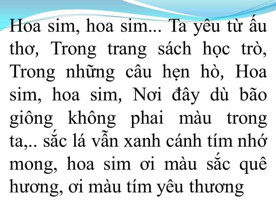 Lời bài hát HOA SIM BIÊN GIỚI