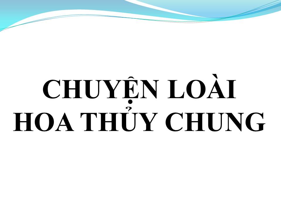 Lời bài hát CHUYỆN LOÀI HOA THỦY CHUNG