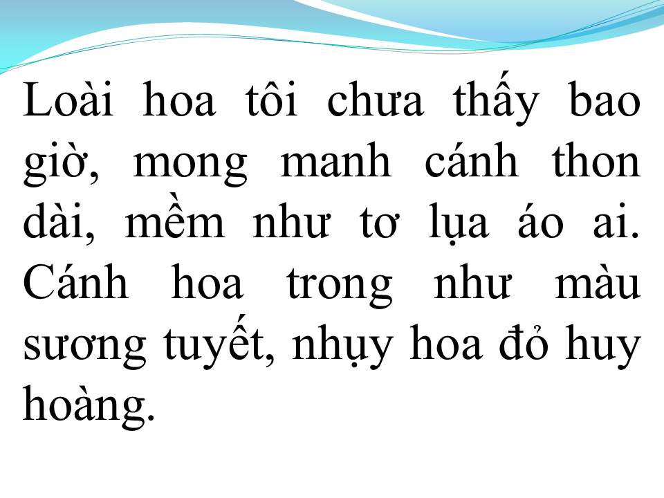 Lời bài hát CHUYỆN LOÀI HOA THỦY CHUNG